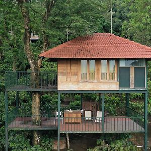 Tree House